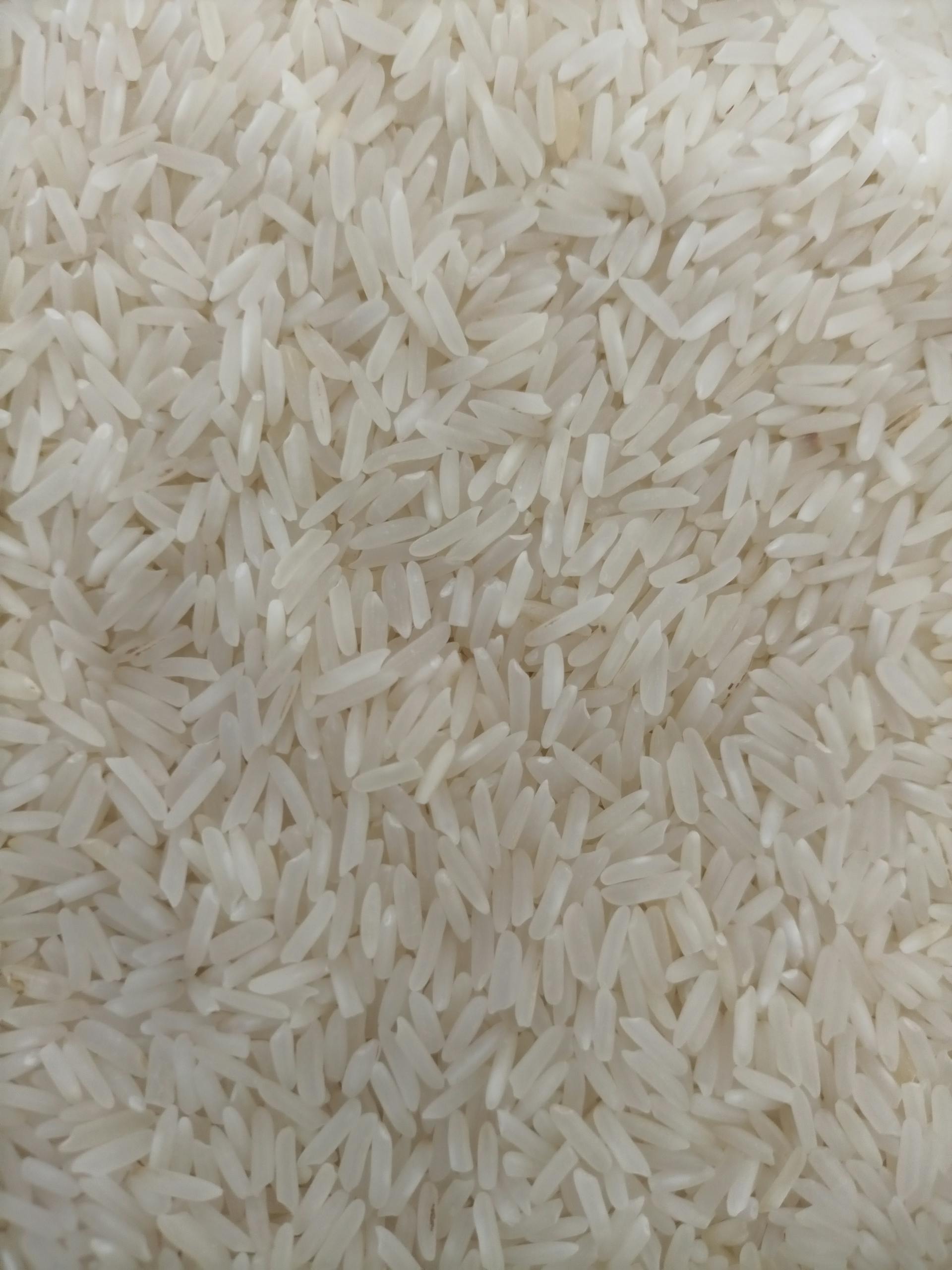 IRRI-9