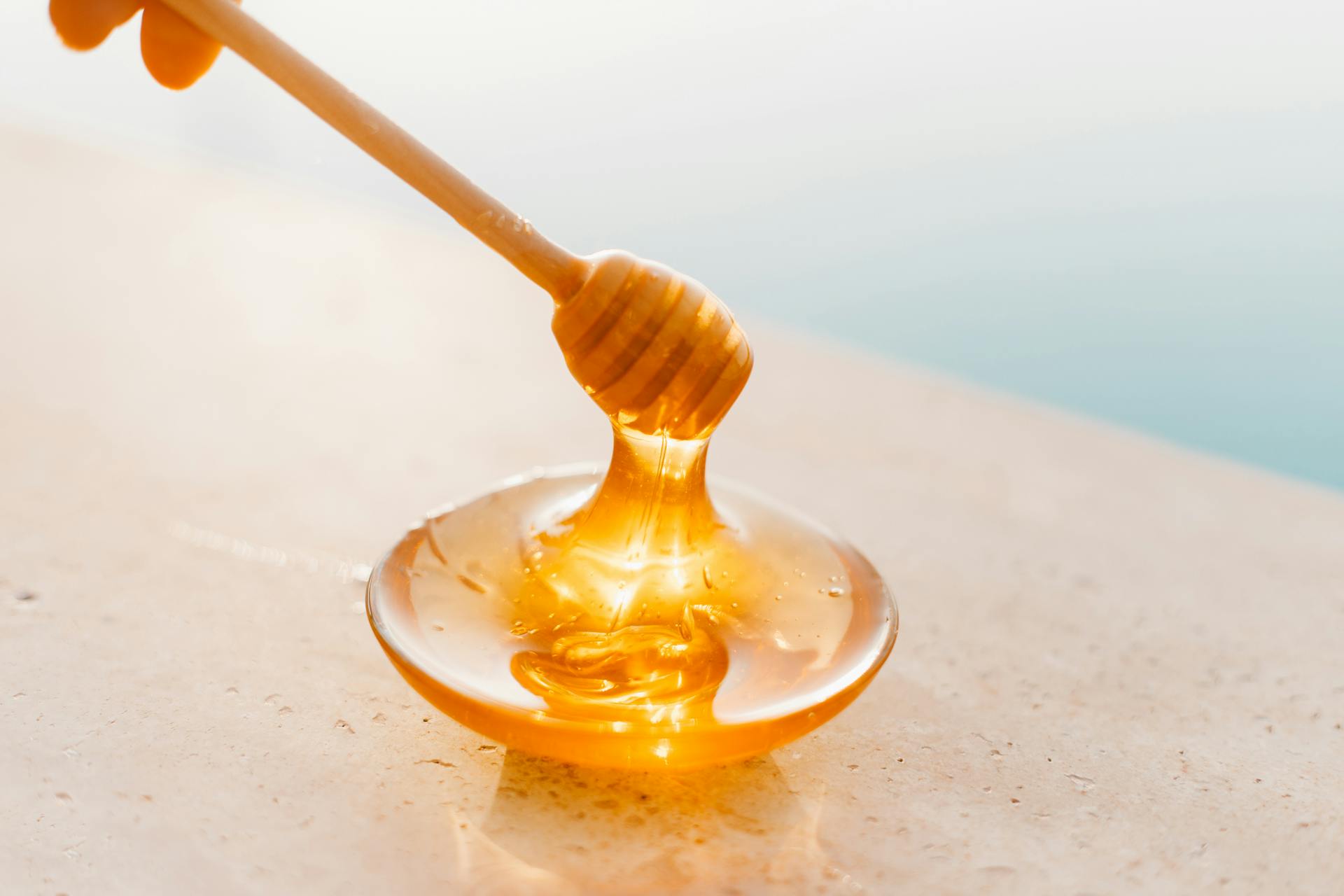Sunflower Honey